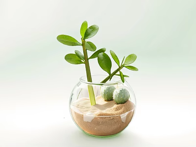 Decorative Ceramic Vessel with Sand Green Plants and Small Green Balls for Home Decoration 3d model