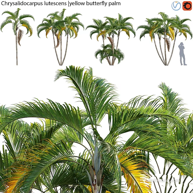 Decorative Palm Tree Ornament Set With Tropical Green Leaves For Home Decor 3d model 