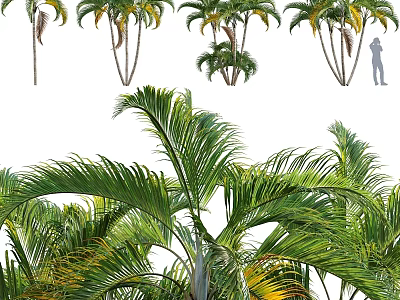 Decorative Palm Tree Ornament Set With Tropical Green Leaves For Home Decor 3d model