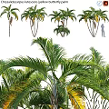 Decorative Palm Tree Ornament Set With Tropical Green Leaves For Home Decor