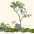 Lush Arbor with Green Plants and Scattered Stones in Natural Grassland