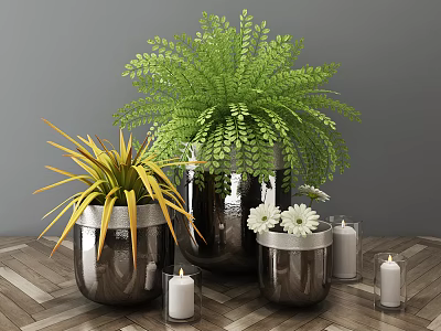 Indoor Potted Plants Decor With Metal Pots Green Ferns Yellow Leaves And White Flowers 3d model