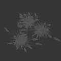 Fresh Green Grass in Two Lush Clumps Against Black Background with Natural Texture