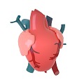 Heart organ viscera 3d model