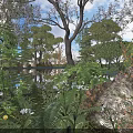 Lush Green Shrubs In Serene Garden With Rocks And Foliage Plants