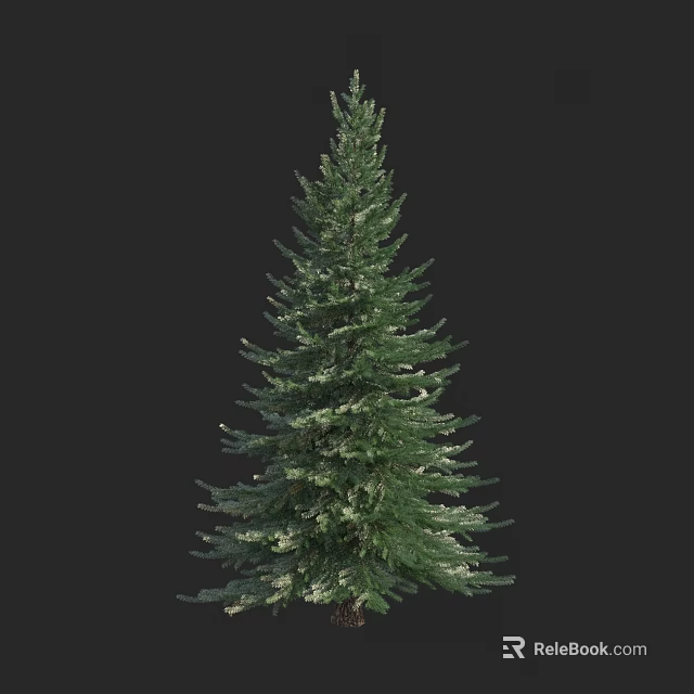Tall Evergreen Arbor With Lush Green Foliage And Snow Dust Branches 3d model 