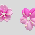 Elegant Floral Display With Pink Cherry Blossom Petals And Yellow Stamens