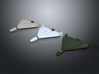 Various Colored Military Missile Models With Aerodynamic Design And Warhead Tips 3d model