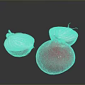 Fresh Vibrant Red Onion With Sliced Halves On Gray Background