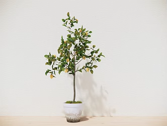 Modern potted plant landscape solitary landscape 3d model