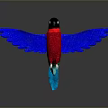 Colorful Bird with Red Body Blue Wings and Black Head on Gray Background