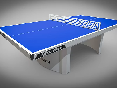 High Quality Table Tennis Table with Blue Surface White Net and Sturdy Frame 3d model