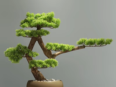Artistic Bonsai Tree with Curved Branches and Green Foliage in Ceramic Pot 3d model
