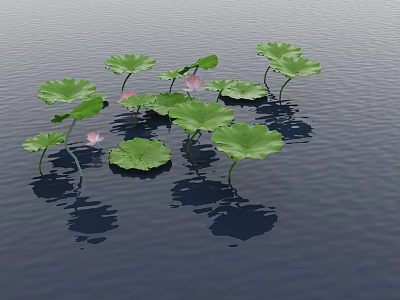 Green Lotus Leaves And Pink Flowers Floating On Calm Water With Clear Reflections 3d model