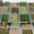 Rural Landscape With Organized Grid Pattern Vegetable Gardens Wooden Fences Stone Pathways And Surrounding Trees