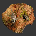 Natural Wooden Logs On Textured Stone Base With Red Brown And Green Mossy Accents