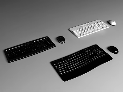 Black and White Computer Keyboards with Ergonomic Design and Wireless Mice Set 3d model