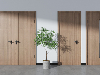 Modern swing door 3d model