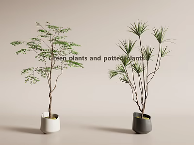 Minimalist Indoor Green Potted Plants With White And Black Ceramic Decorative Pots 3d model