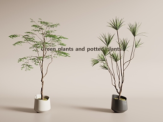 Modern Potted Plant Green Plant Potted Plant Green Plant 3d model