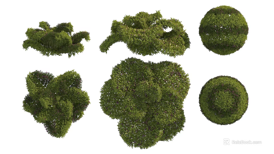 Various Decorative Garden Bushes With Different Trimmed Shapes For Landscaping Design 3d model 