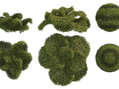 Various Decorative Garden Bushes With Different Trimmed Shapes For Landscaping Design 3d model