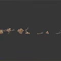 Collection of Natural Wooden Branches In Various Shapes And Sizes On White Background