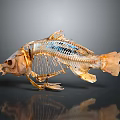 Fish Skeleton With Detailed Bone Structure Light Yellowish Beige Color On Grey Background 3d model