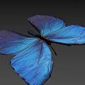 Vibrant Blue Butterfly With Iridescent Wings Casting Soft Shadow on Neutral Background