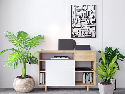 Wooden And White Decorative Cabinet With Green Plants Books Laptop And Black White Geometric Painting 3d model