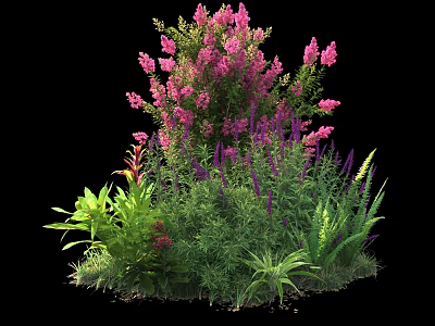 Lush Shrub With Vibrant Pink Flowers And Green Foliage Surrounding Diverse Plants 3d model