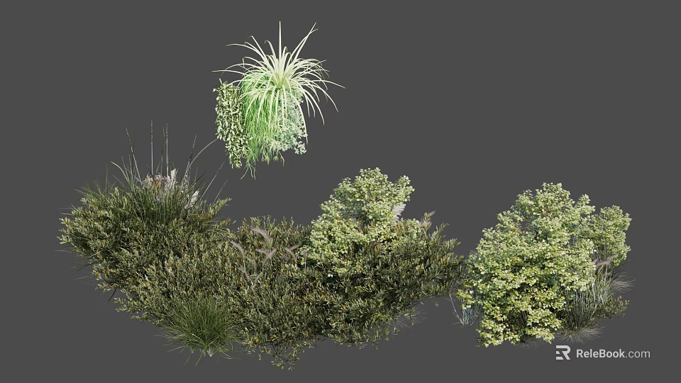 Various Types of Lush Green Leafy Shrubs For Garden Decoration And Landscaping 3d model 