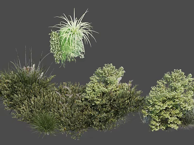 Various Types of Lush Green Leafy Shrubs For Garden Decoration And Landscaping 3d model