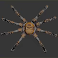 Sci Fi Robotic Spider Character With Orange Body And Silver Mechanical Legs 3d model