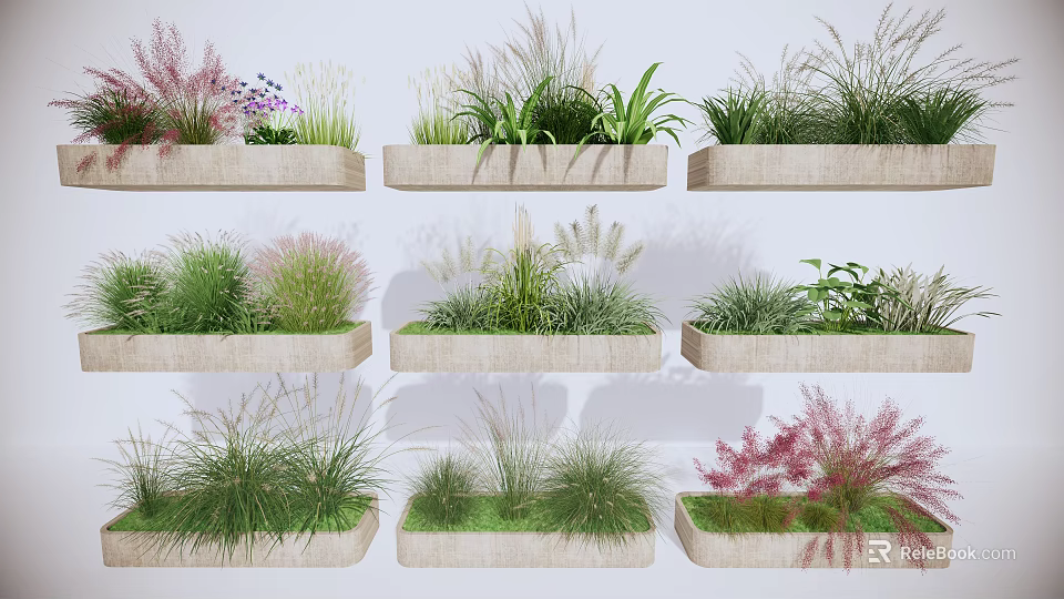 Decorative Potted Plants With Various Herbaceous Green Pink Foliage In Rectangular Planters 3d model