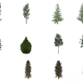 The Modern Tree 3d model