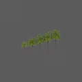 Decorative Palm Tree Ornament Set With Various Sizes And Green Foliage