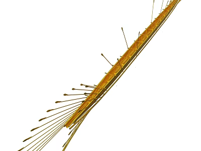 Intricate Golden Curved Structure with Slender Spikes and Fibrous Details 3d model