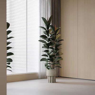Large Indoor Potted Plant with Cylindrical Pot near Window Blinds and Wooden Wall 3d model