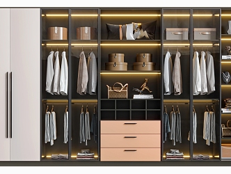 Modern Wardrobe Solid Wood Wardrobe Master Bedroom Wardrobe to Top Style Multifunctional 3d model