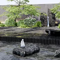 Serene Garden Ornament Design With Trees Green Plants Stones Water Fountain And Paved Floor