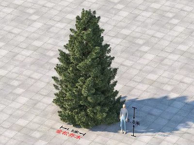 Arbor With 4 Meters Height And 15 Cm Diameter Near Person On Tiled Ground 3d model