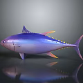 Purple And Blue Tuna Fish With Yellow Fins On Gray Background With Reflection