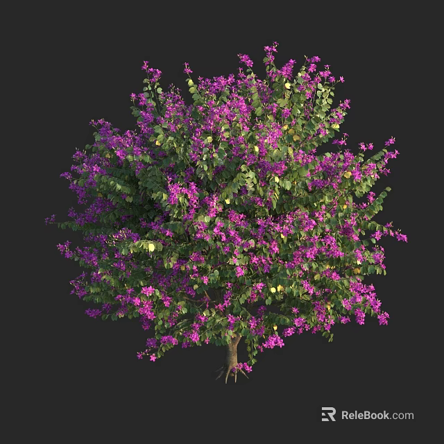 Lush Tree with Abundant Purple Flowers and Vibrant Green Foliage in Bloom 3d model 