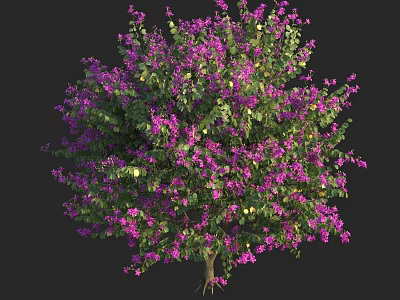 Lush Tree with Abundant Purple Flowers and Vibrant Green Foliage in Bloom 3d model