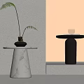Marble Base Side Table With Plant And Black Base Table With Cup 3d model