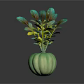 Indoor Decorative Plant with Green and Yellow Leaves in Green Pumpkin Shaped Vase