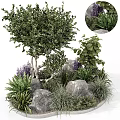 Bonsai Potted Tree Arrangement With Green Plants Rocks And Purple Ferns