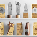 Various Trophies And Medals With Star Shaped Designs Wooden Bases And Engraved Details