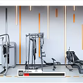 Modern Commercial Gym Fitness Equipment with Multi Function Machines and Training Benches